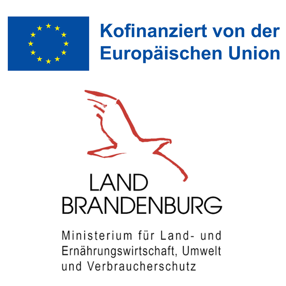 Kräuterwanderung zum Abend(b)rot: Essbare Schätze der Natur