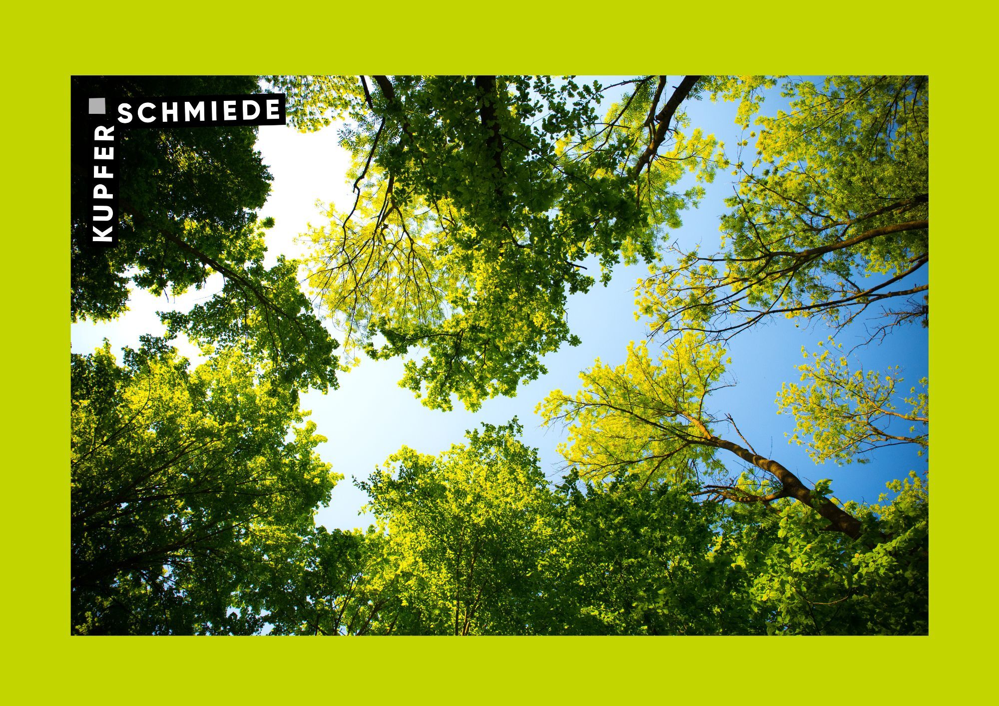 Bäume, Foto: Kupferschmiede Beeskow e.V., Lizenz: Kupferschmiede Beeskow e.V.