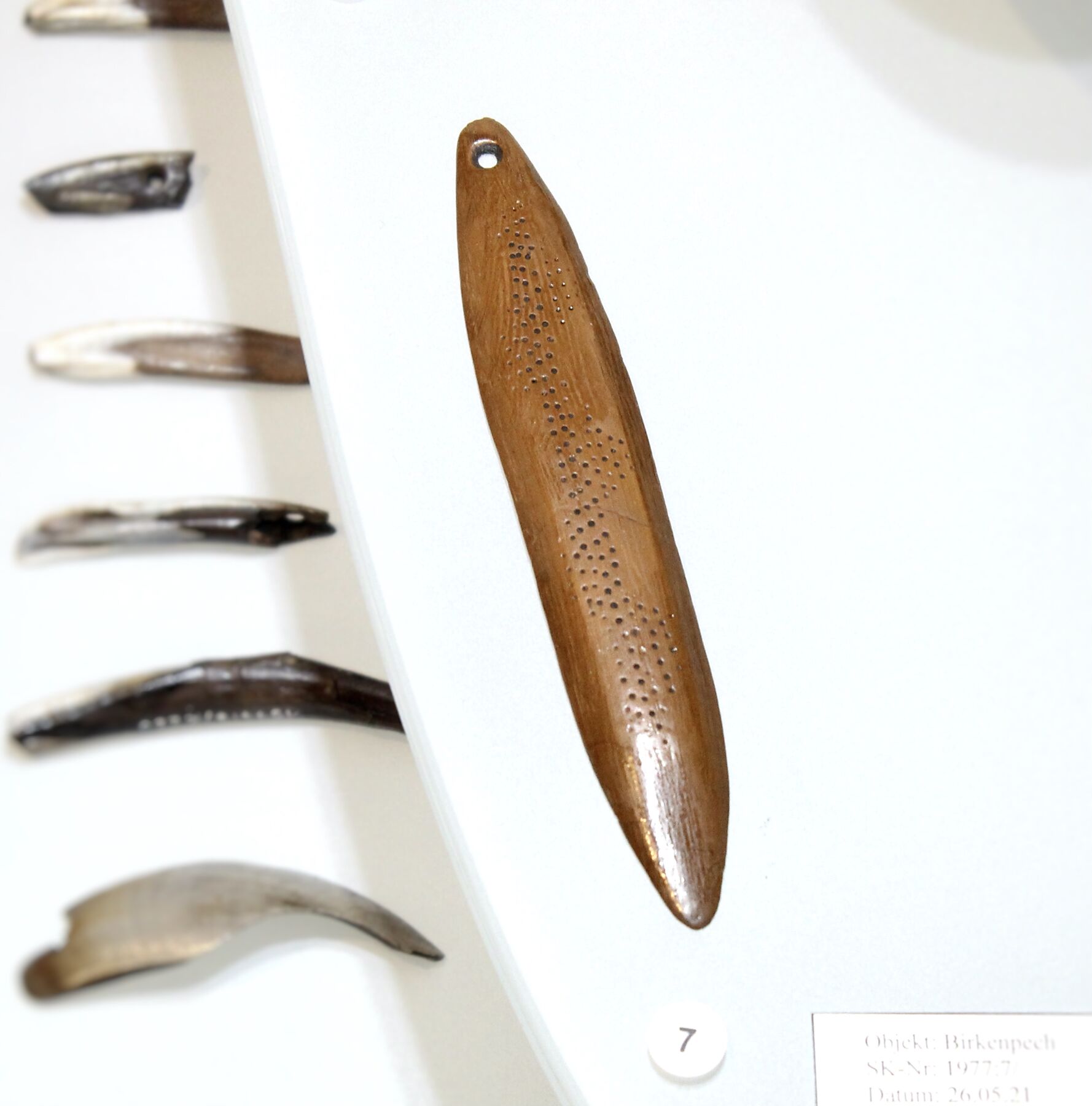 Schwirrgerät mit Durchlochung und punktförmiger Verzierung, Knochen, Pritzerbe, Lkr. Potsdam-Mittelmark, Mittelsteinzeit (Nachbildung), Foto: David Wenig, Lizenz: BLDAM