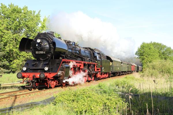 Friedhofsführung Biesenthal am Totensonntag