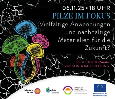 Pilze im Fokus: Materialien für die Zukunft?