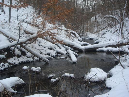 Winterwanderung durch’s Biesenthaler Becken