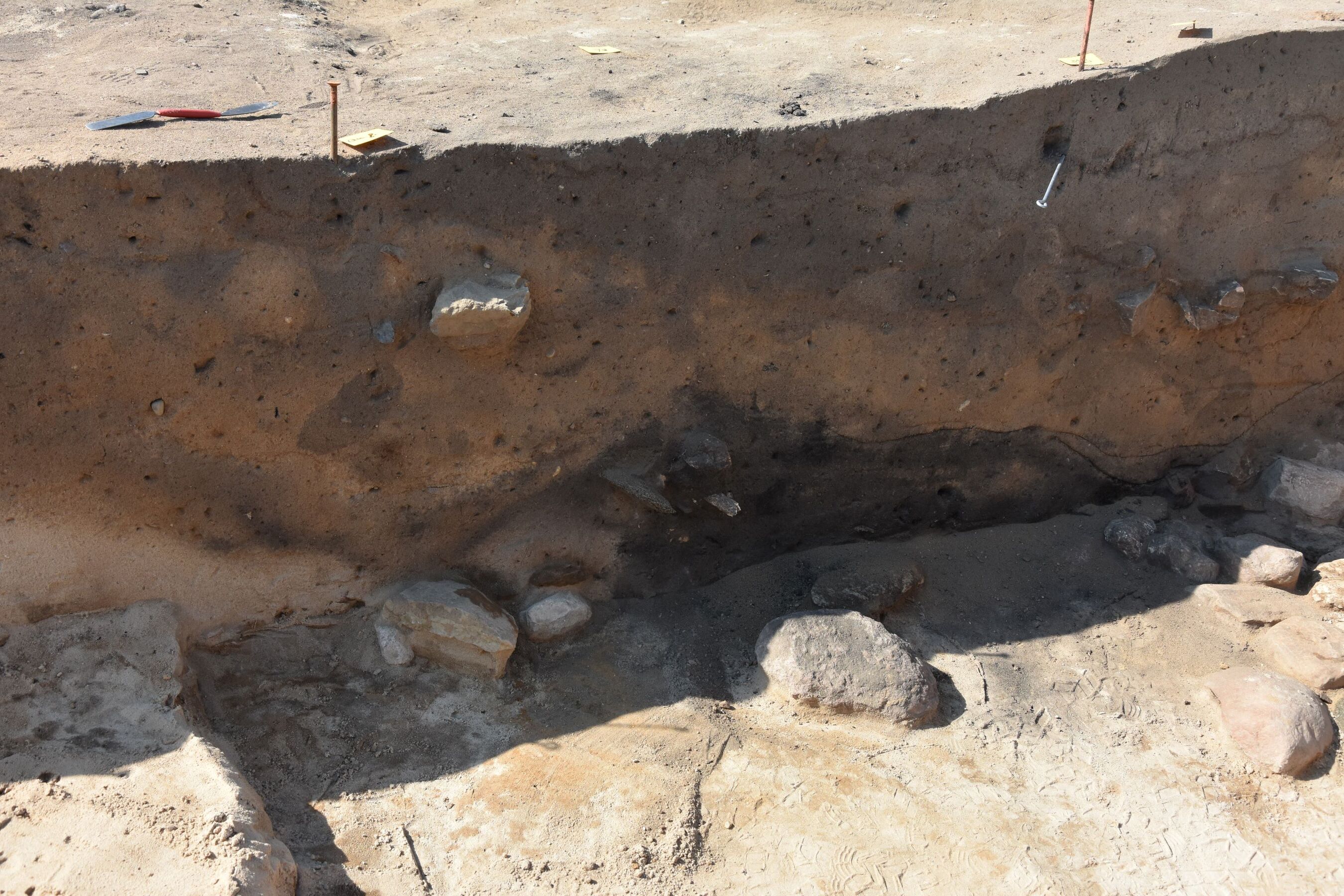 Befund im Profil, Ausgrabung bei Schmerzke / Brandenburg an der Havel, Foto: Fatima Wollgast, Lizenz: BLDAM