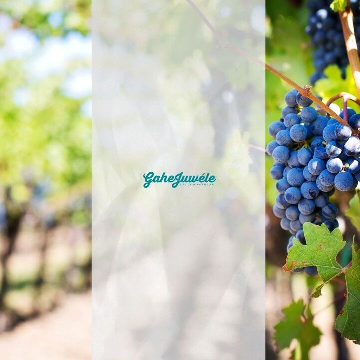 Herbstbasteln und Französische Weine, Foto: GaheJuwéle, Lizenz: GaheJuwéle