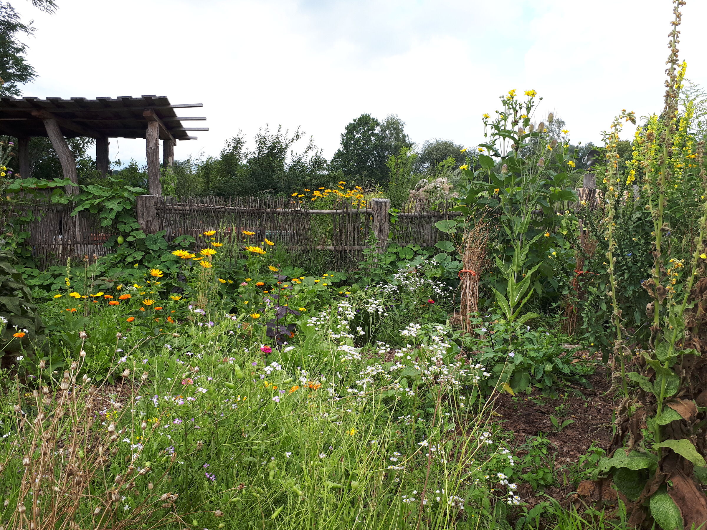 Naturgarten Blumberger Mühle, Foto: Doris Schacknat, Lizenz: NABU-Naturerlebniszentrum Blumberger Mühle