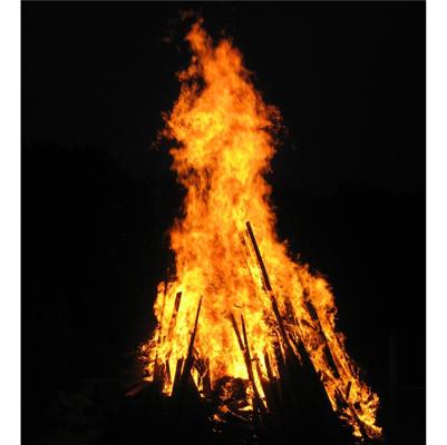 Foto: Bild von Terreur-de-Pierre auf Pixabay, Lizenz: Bild von Terreur-de-Pierre auf Pixabay