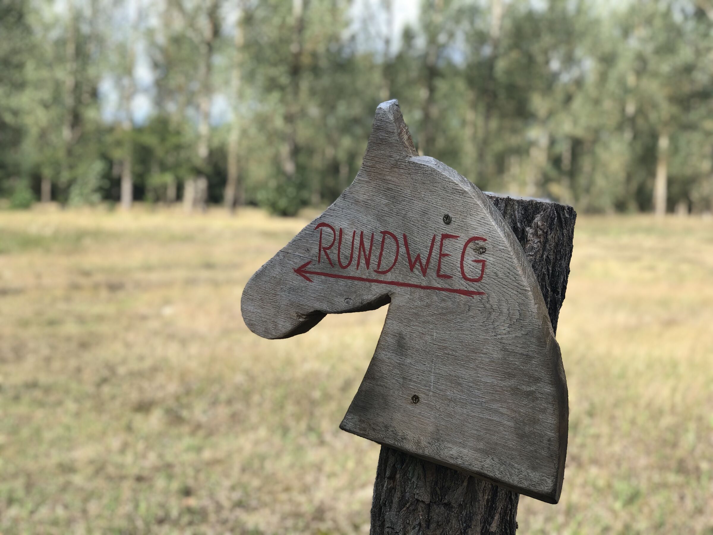 Am Wildpferderundweg