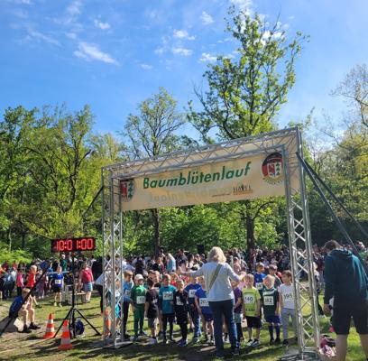 Foto: Stadt Werder (Havel), Lizenz: Stadt Werder (Havel)