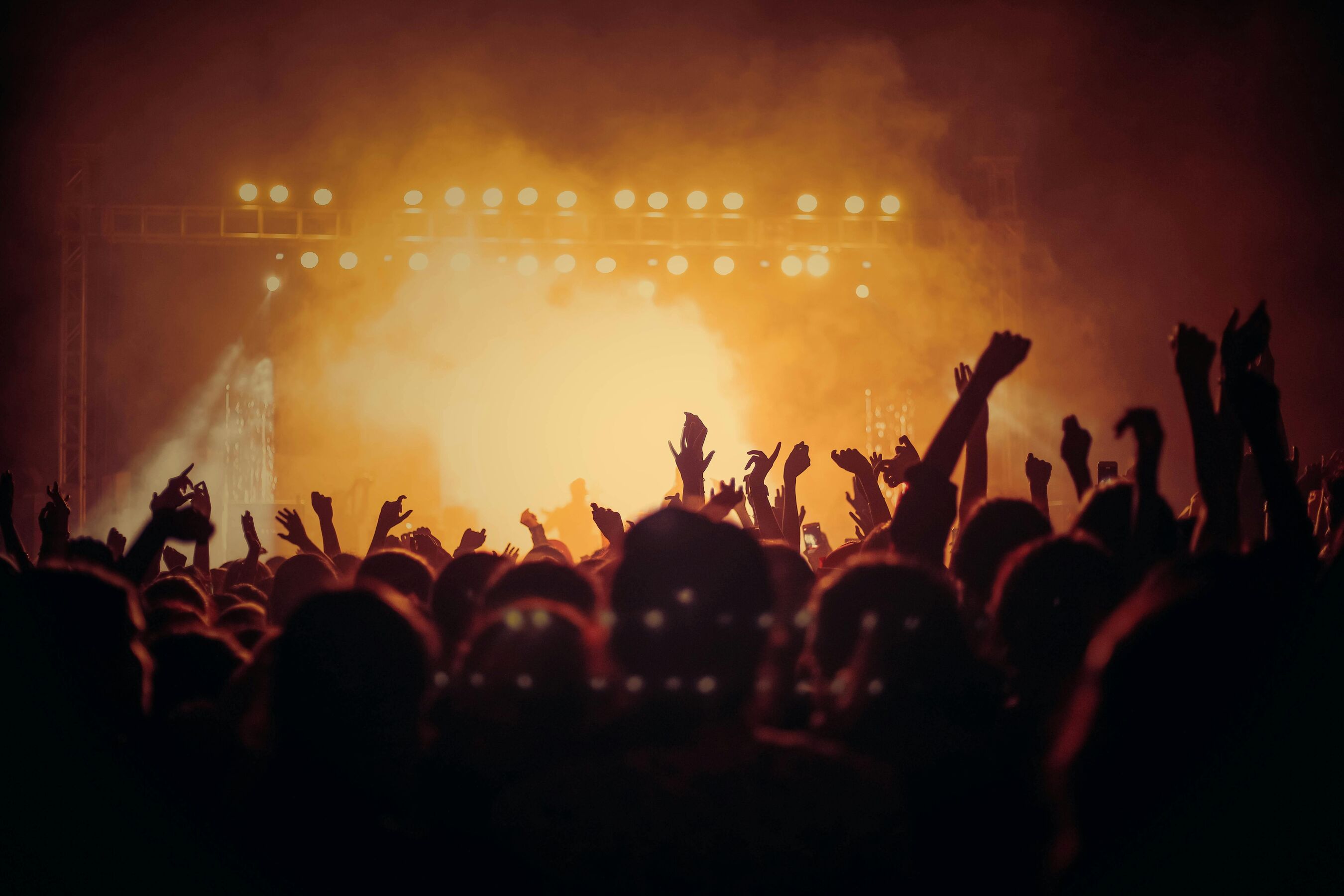 Foto von Vishnu R Nair: https://www.pexels.com/de-de/foto/leute-beim-konzert-1105666/, Foto: Foto von Vishnu R Nair: https://www.pexels.com/de-de/foto/leute-beim-konzert-1105666/, Lizenz: Foto von Vishnu R Nair: https://www.pexels.com/de-de/foto/leute-beim-konzert-1105666/