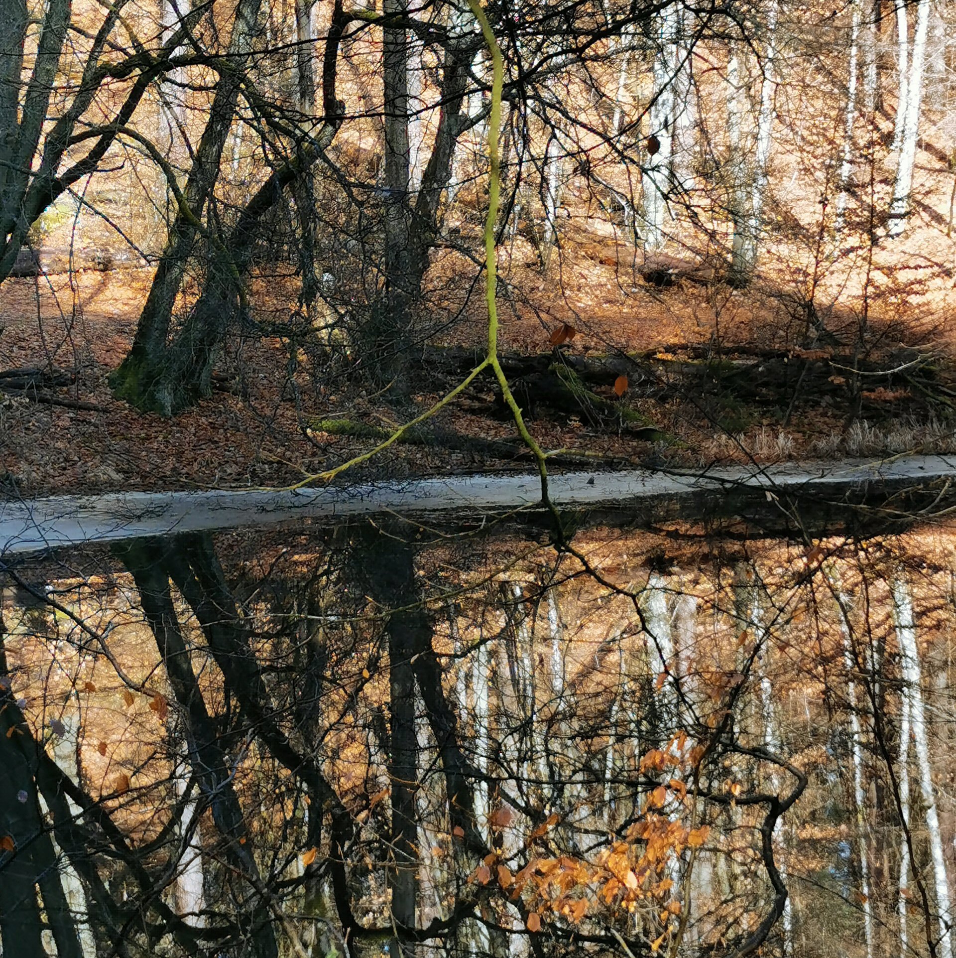 Foto: Mirko Laufmann, Lizenz: Mirko Laufmann