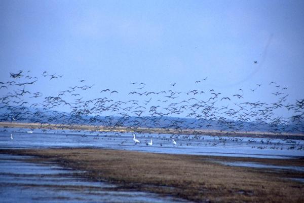 Foto: Sabine Clausner, Rangerin, Lizenz: Sabine Clausner, Rangerin
