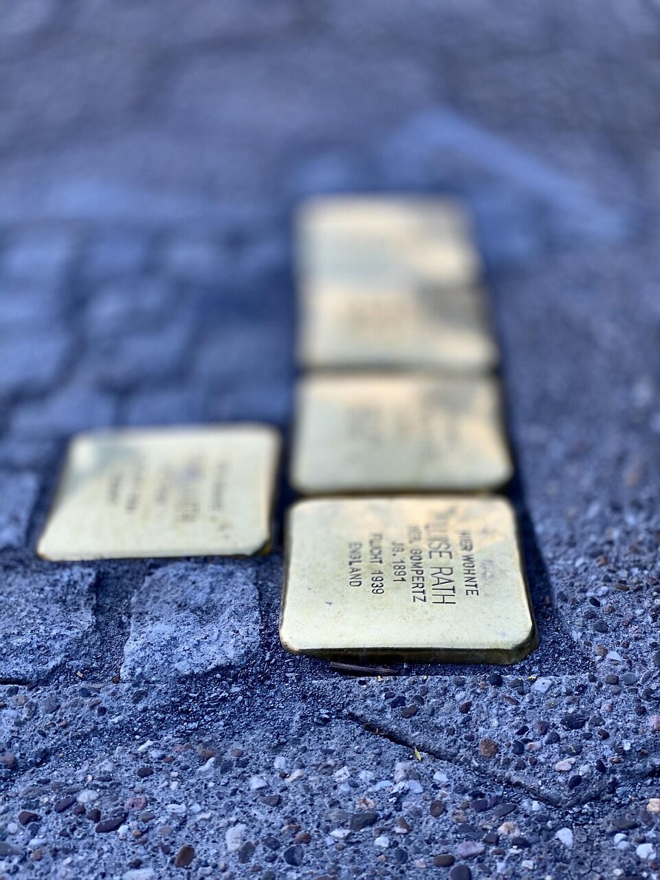 Bild von Jeyaratnam Caniceus auf Pixabay, Foto: Bild von Jeyaratnam Caniceus auf Pixabay, Lizenz: Bild von Jeyaratnam Caniceus auf Pixabay