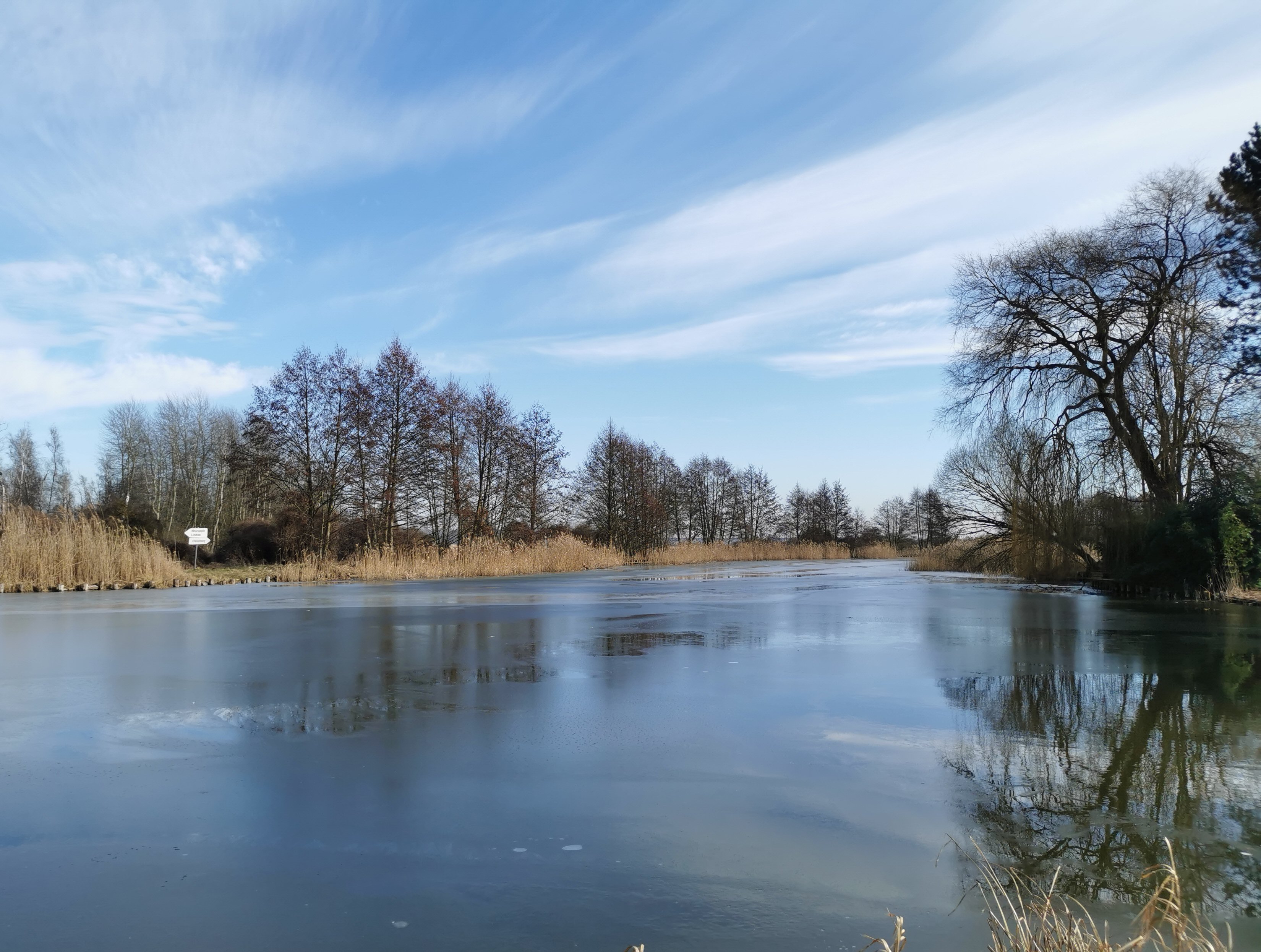 Foto: Mirko Laufmann