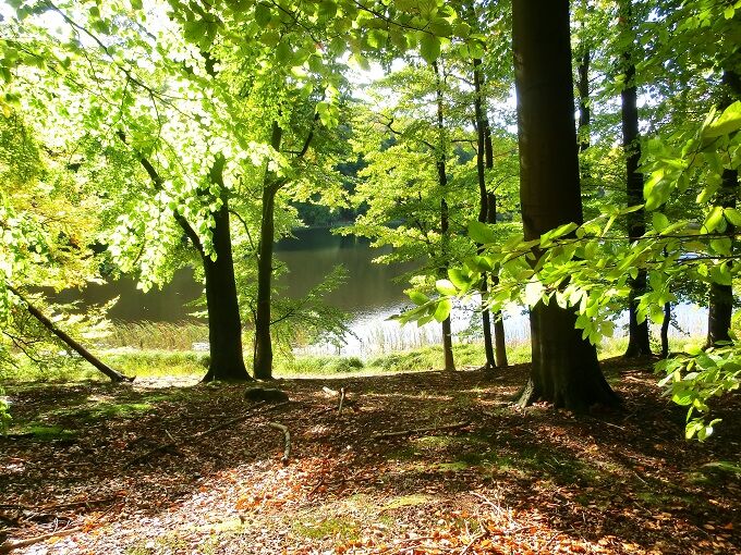 Grumsin, Foto: NABU, Lizenz: NABU