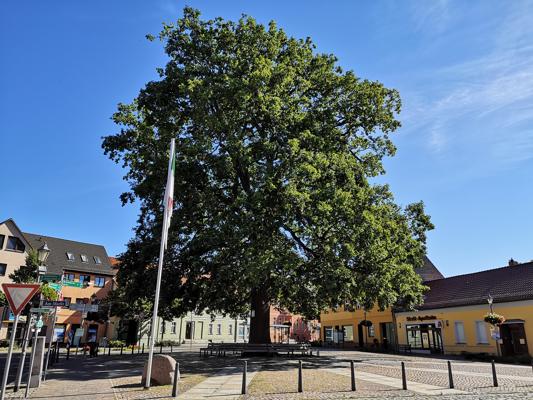 Wanderzentrale 2026: «Damals war‘s » – Blütezeit(en) unserer Wandlitzer Geschichte