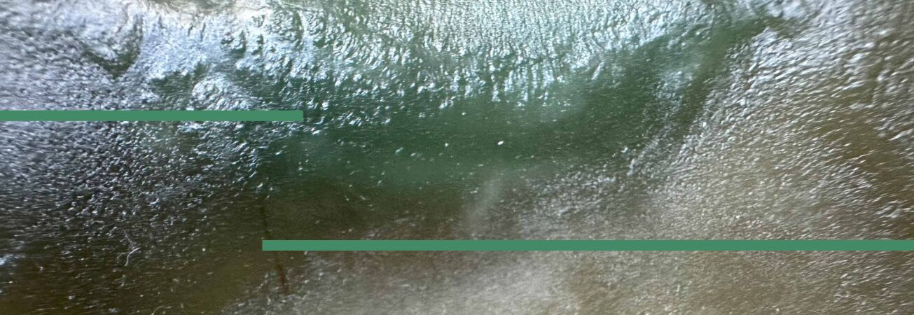 Chefsache - Trio Pur, Foto: Dr. Alexander Busche