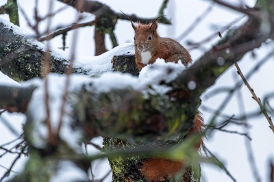 Foto: Torsten Westphal, Lizenz: Torsten Westphal