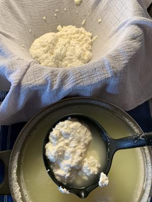 Milchprodukte – Fermentieren für den Alltag