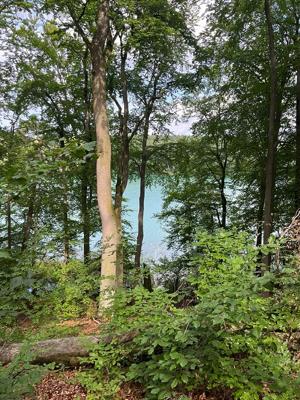 Naturpark-Tour: Liepnitzsee – Landschaft entlang der Zeit: Vom Eis zum Buchenwald