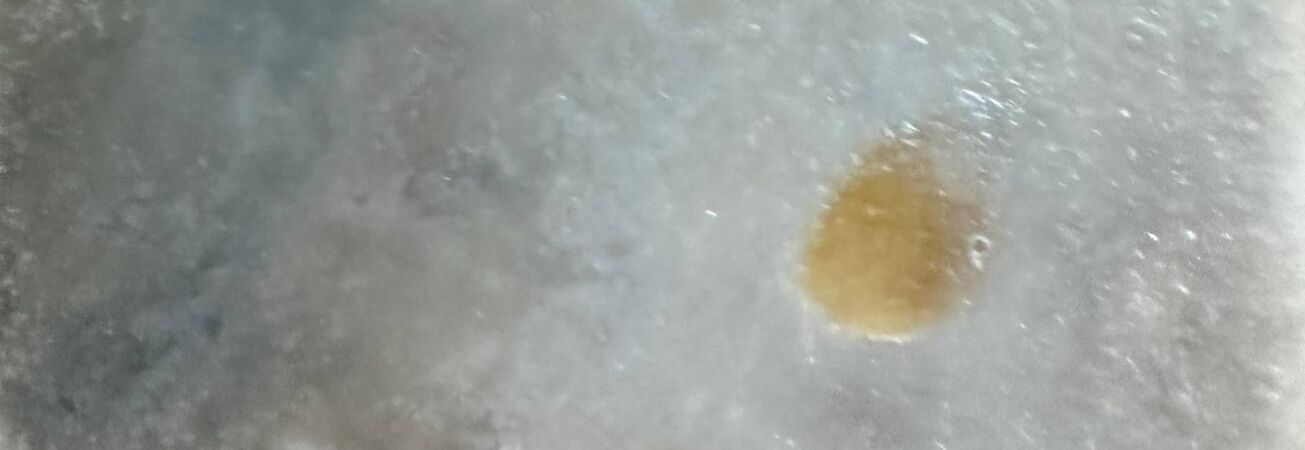 Neujahrskonzert 2026, Foto: Dr. Alexander Busche