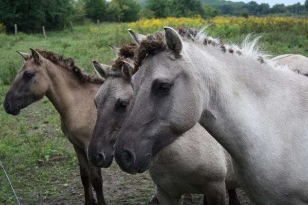 Bunkerführung in Beiersdorf-Freudenberg