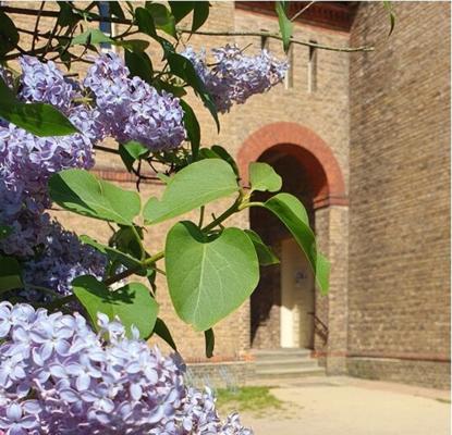 Foto: Stadt Werder (Havel), Lizenz: Stadt Werder (Havel)