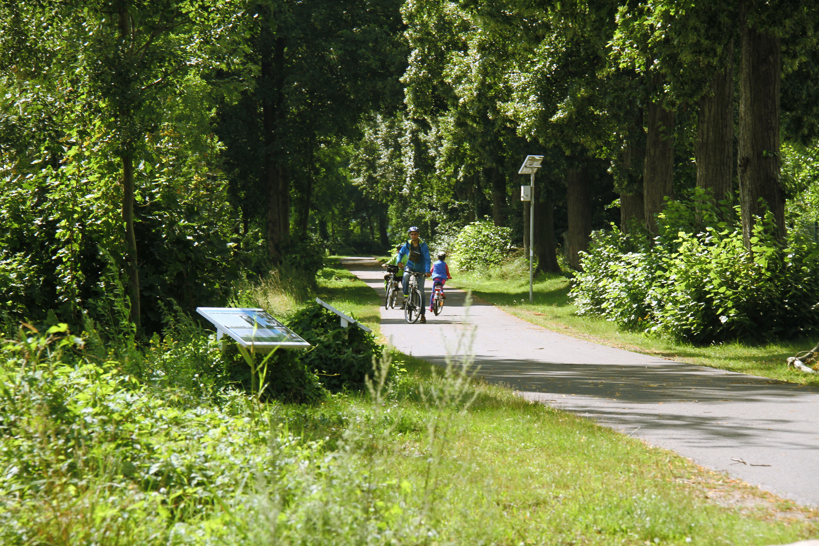 Radfahren, Foto: M. Schön, Lizenz: M. Schön