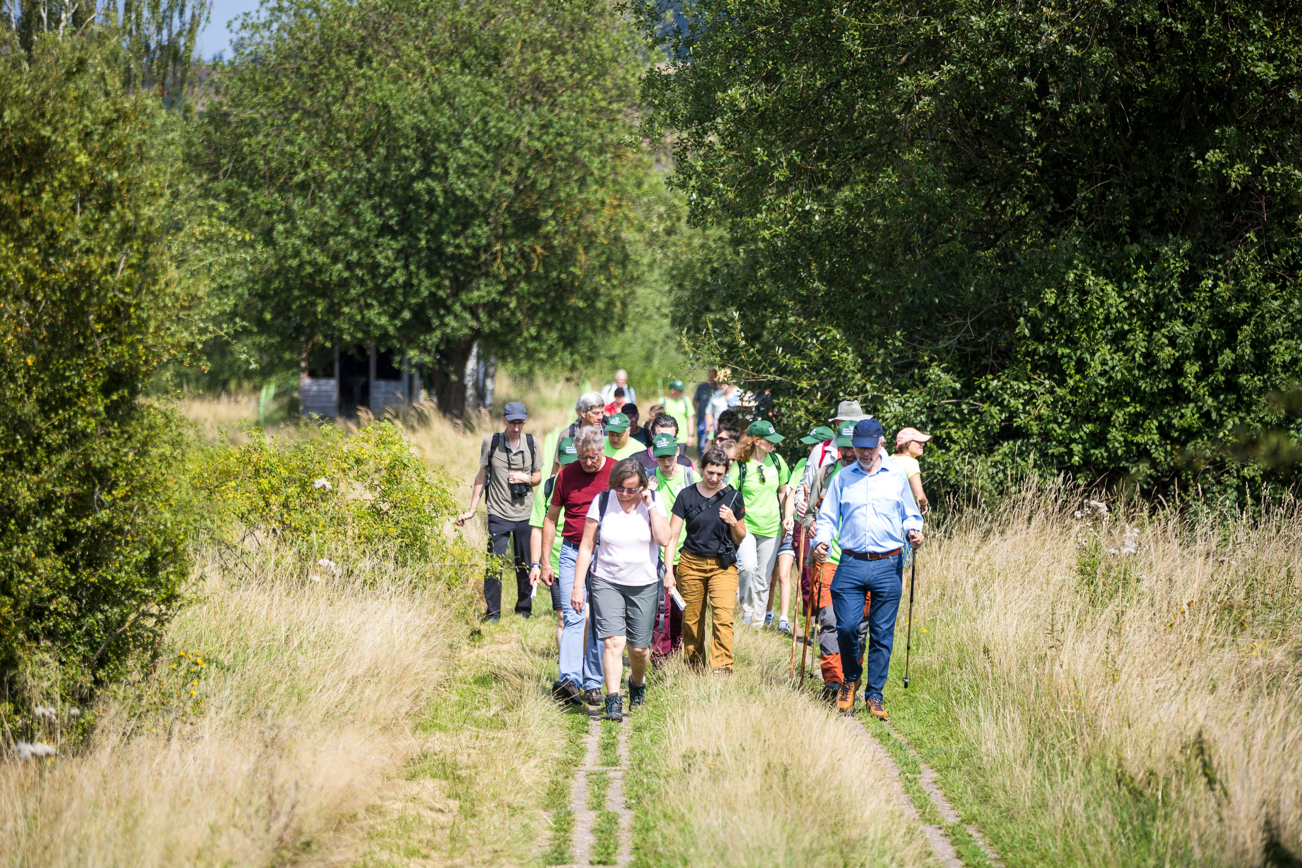Kräuterwanderung: Essbare Schätze der Natur