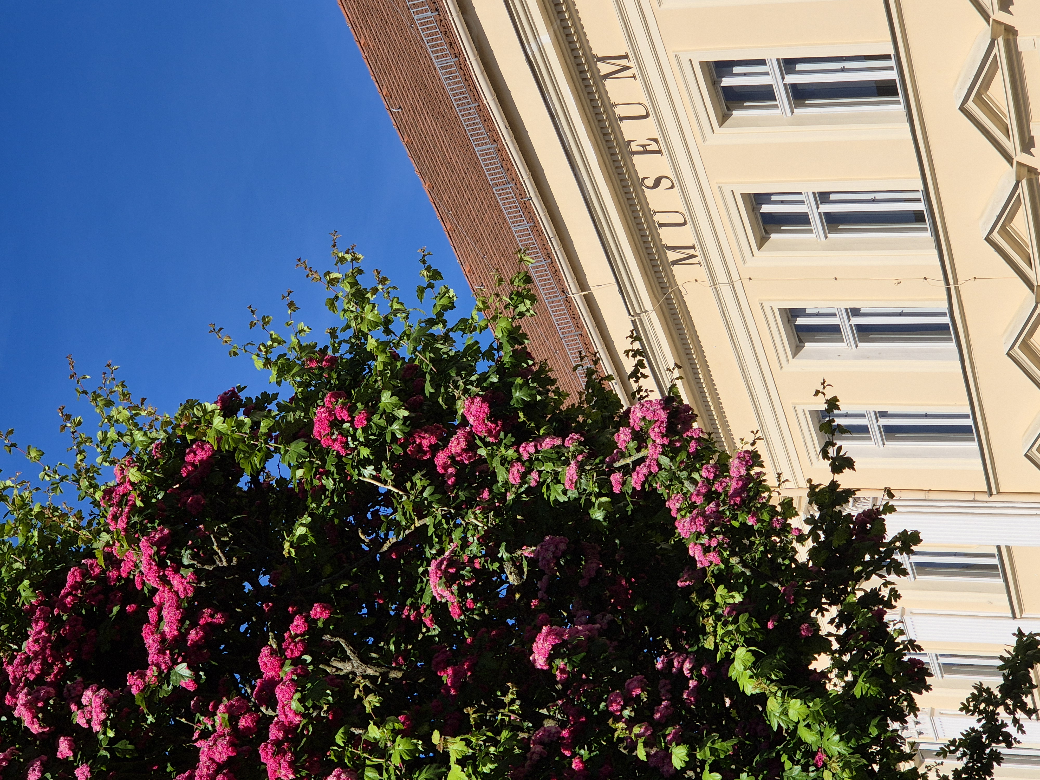 Foto: Museum Neuruppin, Lizenz: Museum Neuruppin