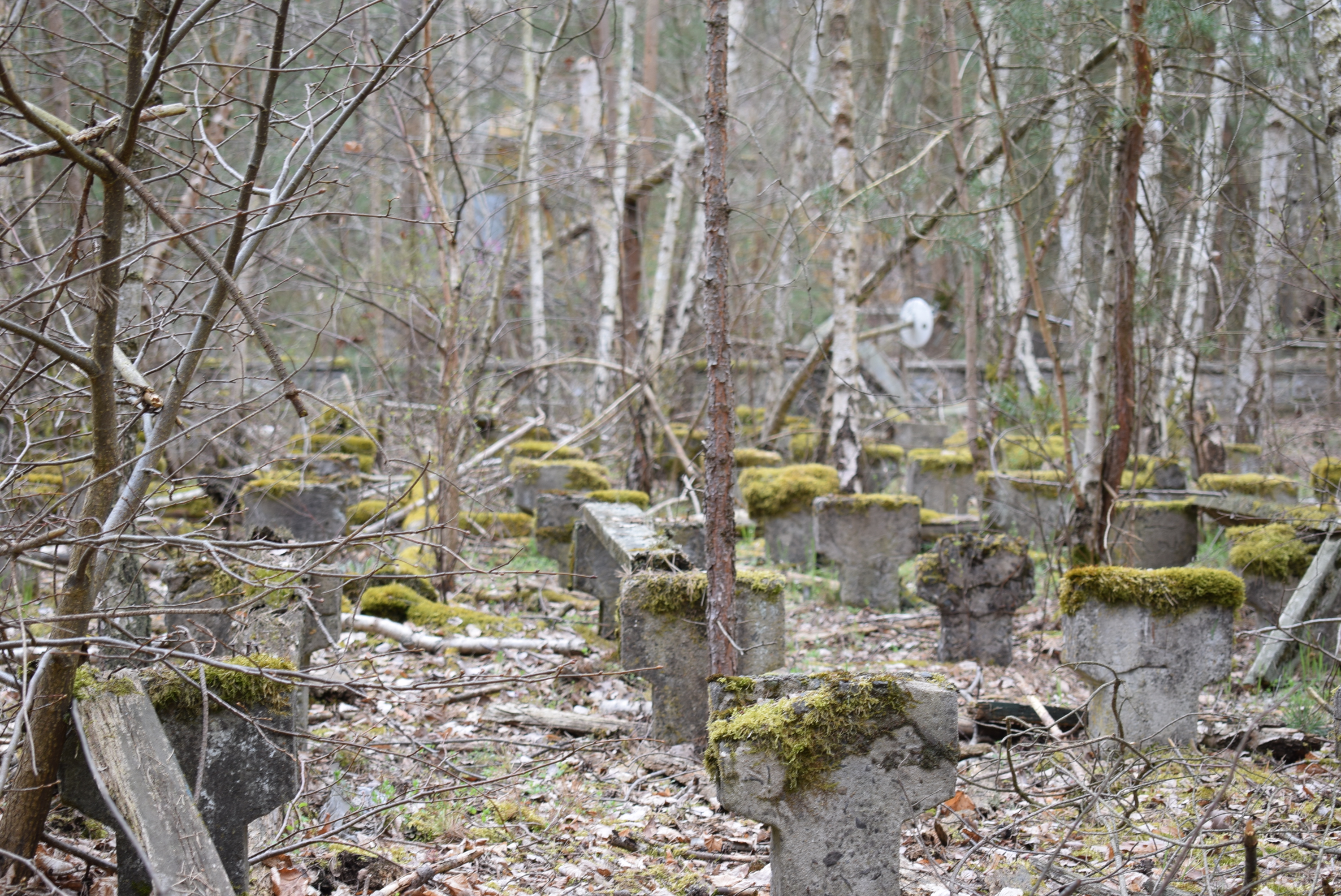 Foto: Stadt Jüterbog, Lizenz: Stadt Jüterbog