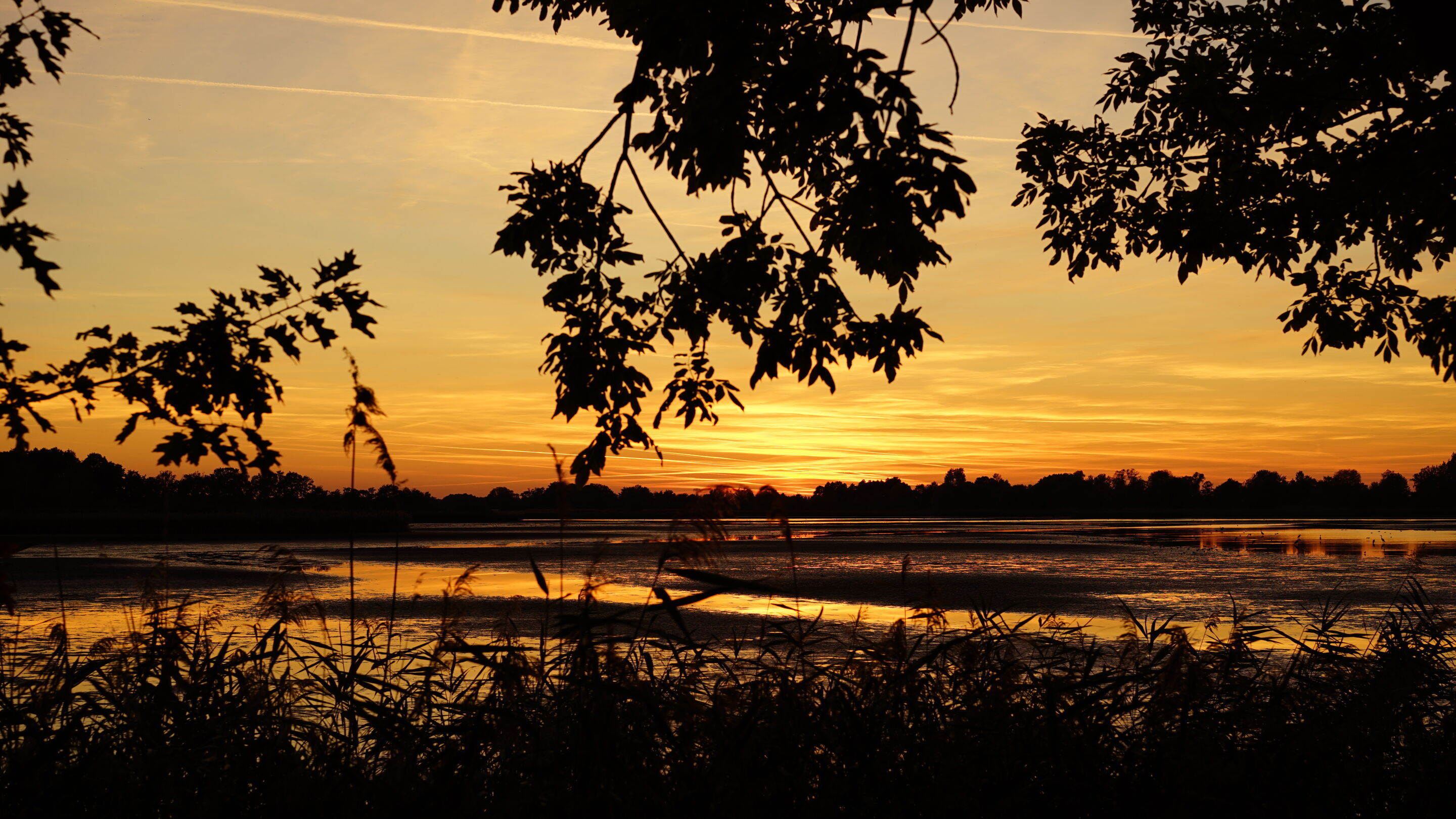 Sonnenuntergang an den Peitzer Teichen, Foto: Amt Peitz, Lizenz: Amt Peitz