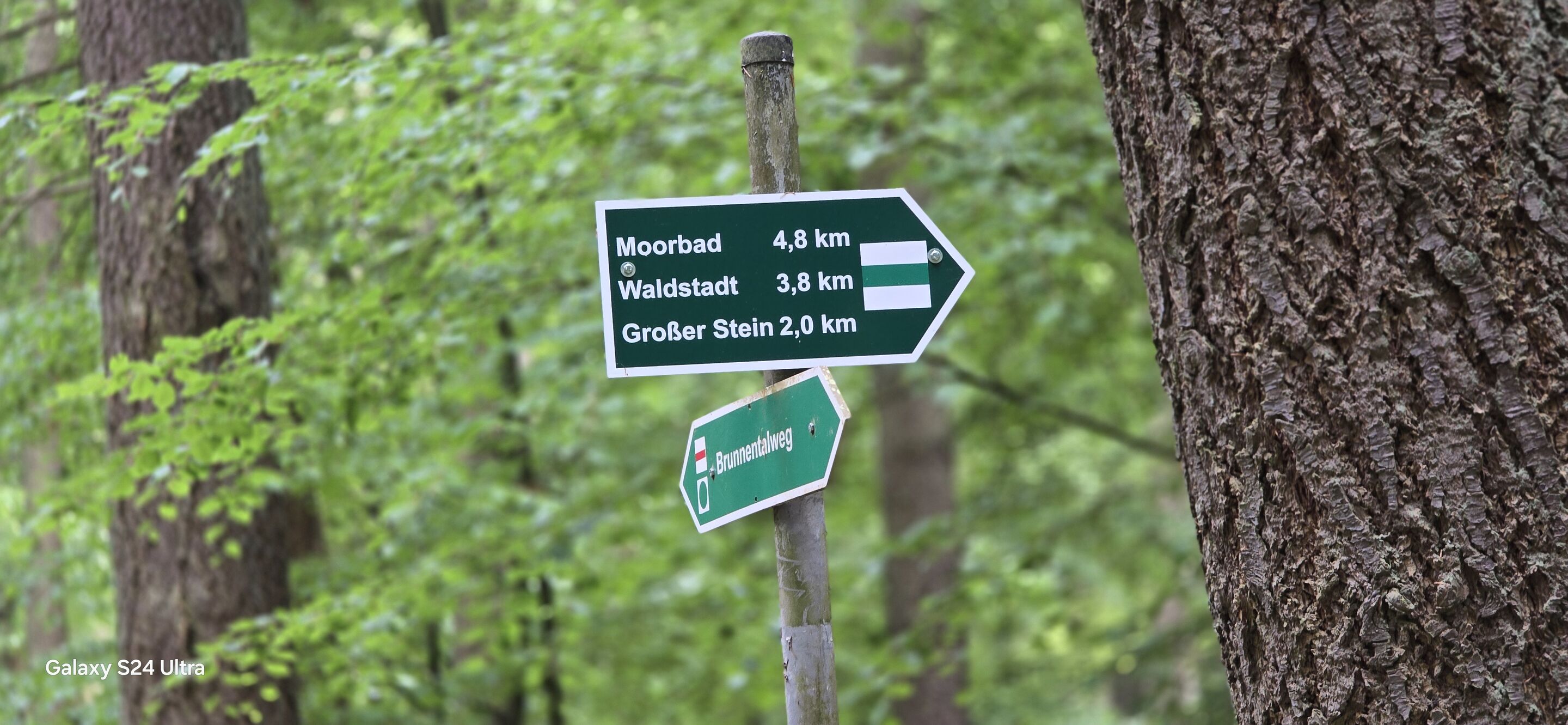 Schild, Foto: Bernd Müller, Lizenz: NaturFreunde Oberbarnim e.V.