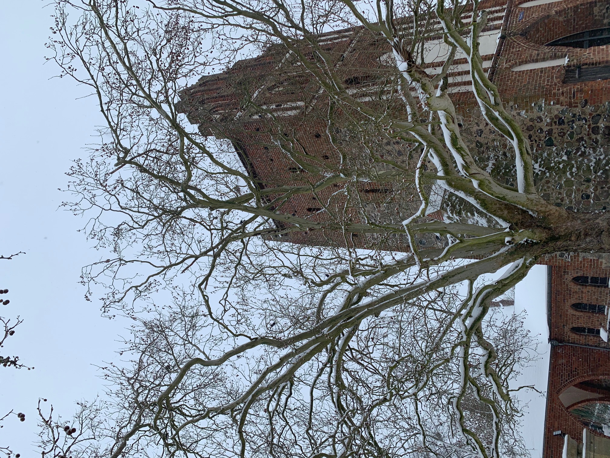 Foto: Teresa Esteban, Lizenz: Museum für Stadtgeschichte